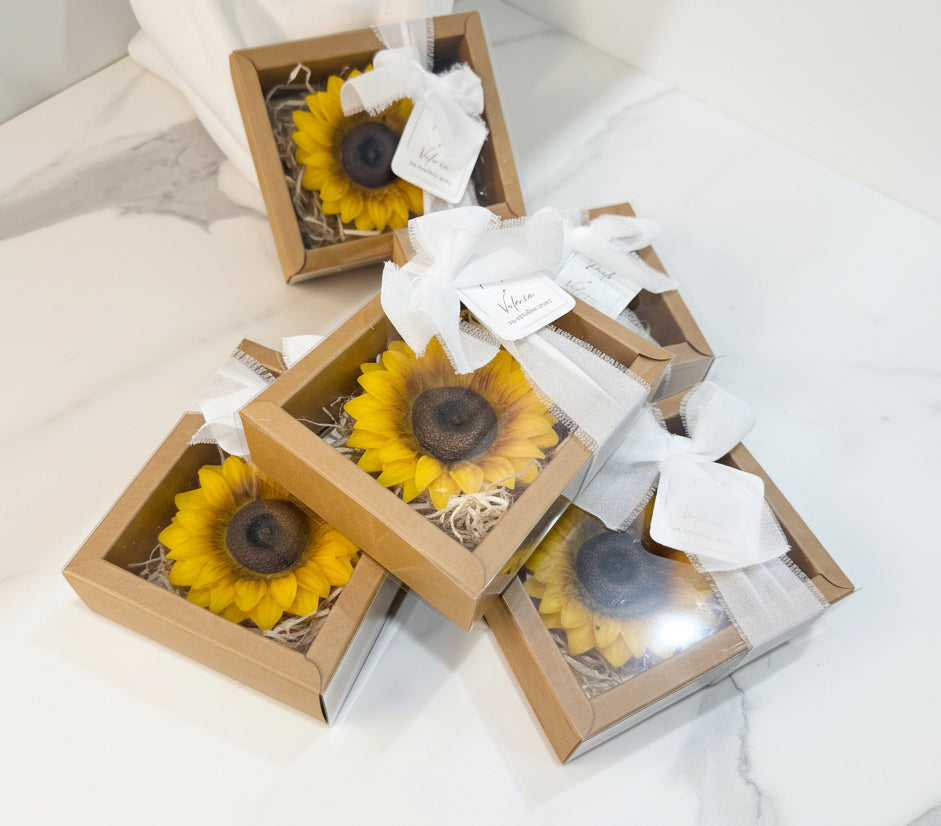 Girasoli